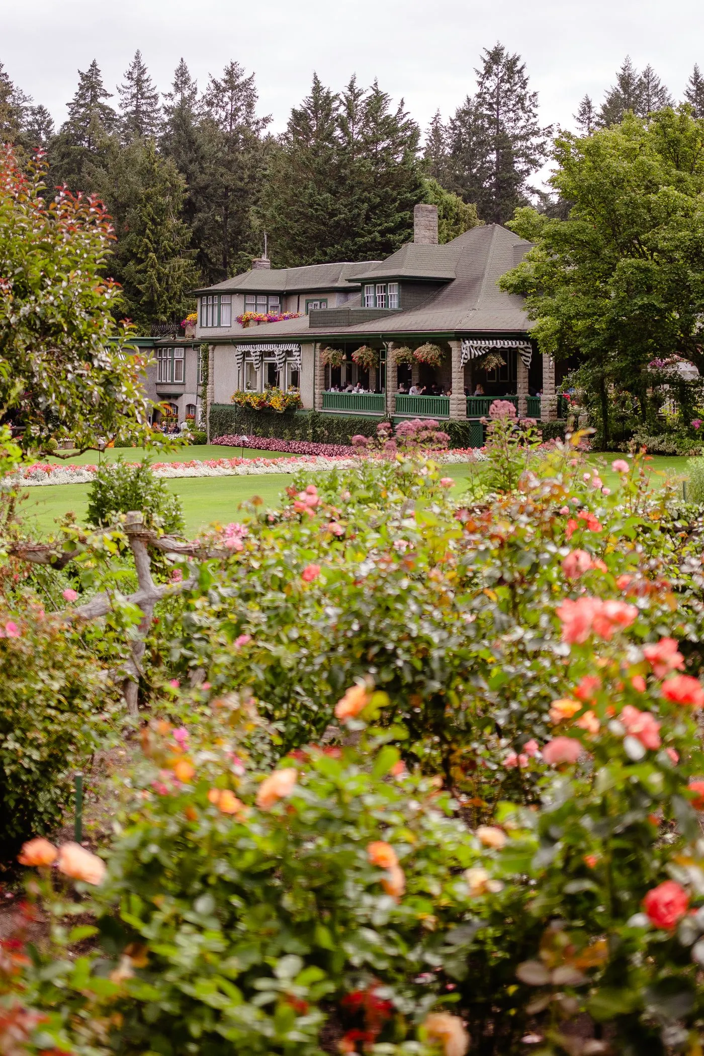 House surrounded by established garden planting and flowers